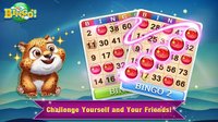 Bingo! Surfer A Lucky & Math Bingo Party Card Game screenshot, image №1516553 - RAWG