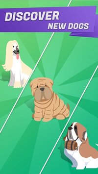 Lucky Pets screenshot, image №2280528 - RAWG