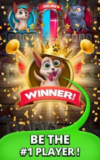 Solitaire Pets - Online Arena - Free Card Game screenshot, image №1476209 - RAWG