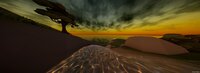 NaturePhotographer screenshot, image №3167670 - RAWG