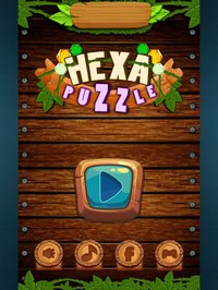 Hexa Wood Block Puzzle! screenshot, image №901391 - RAWG