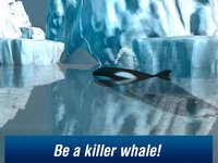 Killer Whale: Orca Simulator 3D Free screenshot, image №1333152 - RAWG