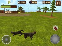 A Catty Cat World screenshot, image №2143108 - RAWG