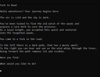 Untitled Text Adventure Game (CranberryDoom) screenshot, image №3539081 - RAWG