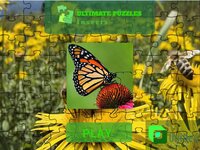 Ultimate Puzzles Insects screenshot, image №2881520 - RAWG