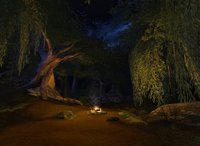 The Lord of the Rings Online: Shadows of Angmar screenshot, image №372174 - RAWG