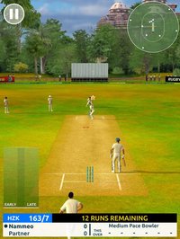 Cricket Megastar screenshot, image №927098 - RAWG