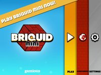 Briquid Mini screenshot, image №1850445 - RAWG