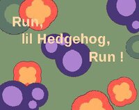 Run, lil Hedgehog ,Run screenshot, image №3580512 - RAWG