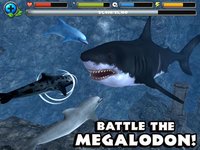 Dolphin Simulator screenshot, image №956522 - RAWG