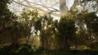 Calming Forest screenshot, image №4178575 - RAWG