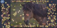 Virtual Jigsaw Puzzles - Animals screenshot, image №4006663 - RAWG