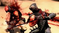 Ninja Gaiden 3 screenshot, image №564138 - RAWG