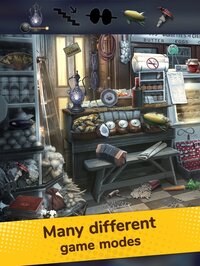 Hidden Objects: Find them all screenshot, image №2681805 - RAWG