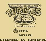 Teenage Mutant Ninja Turtles II: Back from the Sewers screenshot, image №752130 - RAWG