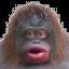 MONKE LIFE SIMULATOR screenshot, image №2223017 - RAWG