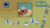 Ultimate Puzzles Marine Life 3 screenshot, image №3254590 - RAWG