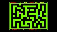 Maze Racer Balls screenshot, image №4137967 - RAWG