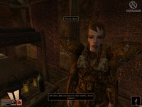 The Elder Scrolls III: Morrowind screenshot, image №290037 - RAWG