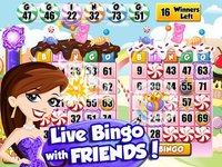 Bingo PartyLand - BINGO & Spin screenshot, image №1618708 - RAWG