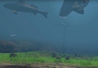The Aquatic Messenger (itch) screenshot, image №1089248 - RAWG