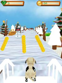 Subway Pet Run screenshot, image №1756697 - RAWG