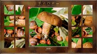 Autumn Mood Puzzle screenshot, image №3043051 - RAWG