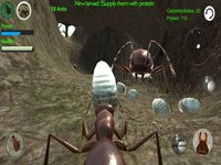 Ant Simulation 3D screenshot, image №937442 - RAWG