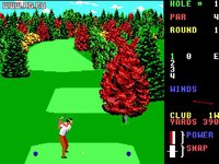World Class Leader Board Golf screenshot, image №337940 - RAWG