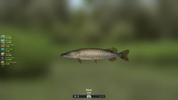 Trophy Fishing 2 screenshot, image №636646 - RAWG