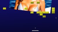 Bikini Brickout screenshot, image №4148659 - RAWG