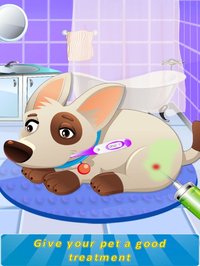 Emergency Pet Vet Doctor 2017 - Crazy Animal Game screenshot, image №2174015 - RAWG