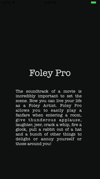Foley Pro screenshot, image №1757996 - RAWG