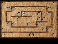 Wood Maze Deluxe screenshot, image №1959351 - RAWG