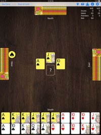 Pinochle Plus screenshot, image №947932 - RAWG