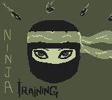 Ninja Training screenshot, image №1103360 - RAWG