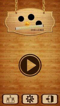 Golden Ball Challenge screenshot, image №2808987 - RAWG