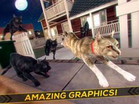 Running Cats - Survive The Free Kitty Cat Simulator screenshot, image №1762186 - RAWG