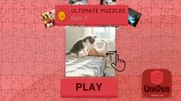 Ultimate Puzzles Cats 3 screenshot, image №3170437 - RAWG