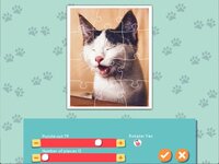 1001 Jigsaw. Cute Cats screenshot, image №3285616 - RAWG