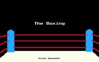 The Boxing screenshot, image №1025596 - RAWG