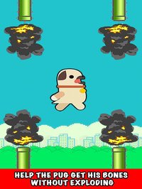 Go Flappy Pug screenshot, image №1335592 - RAWG