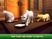 Hunting Cat Survival Simulator 3D screenshot, image №909995 - RAWG