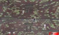 Forest Firestick's Maze of Doom screenshot, image №1791121 - RAWG