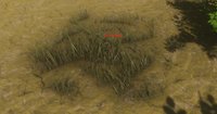 Survival (itch) (nasker2) screenshot, image №2123698 - RAWG