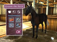 My Horse and Me 2 screenshot, image №497530 - RAWG