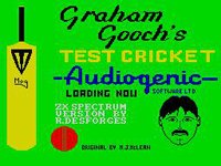 Graham Gooch's All Star Cricket screenshot, image №755262 - RAWG