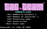 Tag Team Wrestling screenshot, image №738144 - RAWG