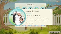 Birdfull screenshot, image №4174062 - RAWG