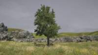 Tree Simulator 2022 screenshot, image №2800757 - RAWG